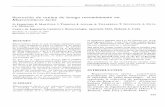 elfosscientiae.cigb.edu.cuelfosscientiae.cigb.edu.cu/PDFs/Biotecnol Apl/1991/8/3/p 335 - 344... · sustitutos de la quimosina bovina las proteasas aspárticas de hongos cigomicetos