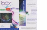 Presentación de PowerPoint - juliomoizeszowicz.com.arjuliomoizeszowicz.com.ar/PDF-PUBLICACIONES/BZ-REGRESO-AL-FUT… · Impacto Clínico de la Modulación de las Vías Gabaérgicas