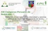 XIII Congreso Peruano de Nutrición - sopenut.org.pe · Protoporfirina libre eritrocitaria Ferritina sérica Eritropoyesis Figura 1. Patogenia de la AEC asociada a obesidad y sus
