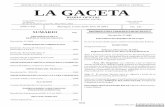 REPUBLICA DE NICARAGUA AMERICA CENTRAL …sajurin.enriquebolanos.org/vega/docs/Gaceta No. 141 lunes 28 de... · Consejo Municipal de La Concepción.....3849 EMPRESA MEDICA PREVISIONAL