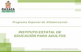 INSTITUTO ESTATAL DE EDUCACIÓN PARA ADULTOS · Comité Estatal de Planeación para el Desarrollo de Oaxaca ... Principales Variables e Indicadores en materia de alfabetización.
