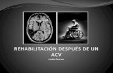 REHABILITACIÓN DESPUÉS DE UN ACV - guiadisc.com · DEFINICION Y FACTORES DE RIESGO Un accidente cerebrovascular (ACV, Ictus Cerebral, apoplejía o Derrame Cerebral) es la pérdida