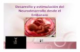 Desarrollo y estimulación del Neurodlldesarrollo ddd … Deporte PDFs/Grissko… · Estimulación Prenatal Combinación de estímulos sensoriomotores que inducen respuestas en el