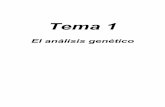 Tema 1 - webdeptos.uma.eswebdeptos.uma.es/genetica/AnaGen/Tema1_2.pdf · Mutaciones dominantes Sobreexpresión FUNCIONFUNCION Análisis Análisis GENETICA GENETICA genégenéINVERSAINVERSAtico