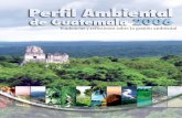 Perfil Ambiental de Guatemala 2006 - bvsde.paho.org · Administrador del Mercado Mayorista (AMM); la Asociación Tercer Milenio (A3K); la Fundación Defensores de la Naturaleza