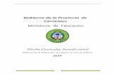 Gobierno de la Provincia de Corrientesdgescorrientes.net/discur2014/2015/DC-CsPolitica.pdf · Prof. Orfilia Elizabeth Fernández ... -Derecho Constitucional (Materia 160Hs) ... -Teoría
