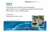 Potencial de inclusión de pequeños agricultores en la ... · Foro de Bioenergía y Seguridad Alimentaria, Lima-Perú. Jose ´Muro -SNV • Sobre SNV ... Promoción del mercado de