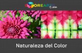Naturaleza del Color - colorearte.clcolorearte.cl/wp-content/uploads/2017/11/Contenidos-Flora-y-Fauna... · Soldadito, Relicario Tropaeolumtricolor En esta zona, las plantas generalmente