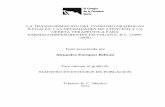 LA TRANSFORMACIÓN DEL CONSUMO DE … · Evolución de la demanda de atención específica para la farmacodependencia en ... enfoque de la epidemiología (Medina-Mora, 1996, 1998