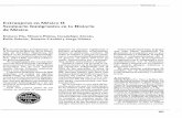 Extranjeros en México II Seminario Inmigrantes en la ...estudioshistoricos.inah.gob.mx/revistaHistorias/wp-content/uploads/... · la Historia de México, ... te la Segunda Guerra