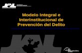 Modelo Integral e Interinstitucional de Prevención del …secretariadoejecutivo.gob.mx/work/models/SecretariadoEjecutivo/... · Red Jalisco Interinstitucional de Prevención del