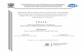 “Modelo de producción escalonado de tilapia …competitividad.uepi.mx/docs/trayectoria/gen2015/tesis-jcrdo.pdf · “Modelo de producción escalonado de tilapia (Oreochromis niloticus)
