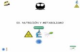 03. NUTRICIÓN Y METABOLISMO - depa.fquim.unam.mxdepa.fquim.unam.mx/microbio/1410MG-06/T-Presentaciones/Tema03/… · mediante la fuerza motriz de protones creada a partir de compuestos
