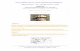 Galápago europeo – Emys orbicularis (Linnaeus, 1758 ...digital.csic.es/bitstream/10261/108610/3/emyorb_v2.pdf · En las regiones mediterráneas presenta una ... Las patas presentan