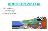 ARROKEN ZIKLOA - iprentsa.esy.esiprentsa.esy.es/iprentsa13/geologoak1.maila/2.pdf · metamorfismo erosión. transporte, sedimentació sedimentos 'he amorfis00 procesos geológicos