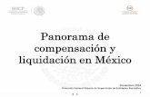 Panorama de compensación y liquidación en México - … · Panorama de compensación y ... Aseguramiento de la operación y disminución de la probabilidad de incumplimientos 3.