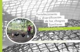 s Comunidad de Timbó, Vaupés es - … · Formación en gestión ambiental y cadenas productivas sostenibles Convenio SENA-Tropenbos Fortalecimiento y diversificación de las chagras
