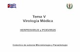Tema V Virología Médica - uvsfajardo.sld.cuuvsfajardo.sld.cu/sites/uvsfajardo.sld.cu/files/ii_herpesvirus.pdf · Tema V Virología Médica HERPESVIRUS y POXVIRUS ... • Describir