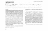 Artículo Importancia de los lípidos en el tratamiento ...scielo.isciii.es/pdf/nh/v21s2/original3.pdf · La importancia de los lípidos de la dieta como coad-yuvantes en el tratamiento