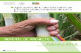 REPORTE DE PROYECTO - gob.mx · parcelas demostrativas en zonas productoras de caña de azúcar, en las que se llevaron a cabo las acciones necesarias de transferencia tecnológica
