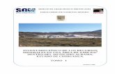 INVENTARIO FÍSICO DE LOS RECURSOS - SGM · servicio geolÓgico mexicano fideicomiso de fomento minero marzo, 2006 inventario fÍsico de los recursos minerales en una Área de 2,550