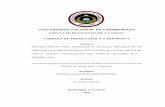 UNIVERSIDAD NACIONAL DE CHIMBORAZO - …dspace.unach.edu.ec/bitstream/51000/4764/1/UNACH-EC-FCS-TER-FIS... · el Análisis e Interpretación de Resultados, tomados de la ficha de