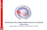 Clasificación Internacional del Funcionamiento de la Discapacidad y …white.lim.ilo.org/.../070831_politicas_ss.pps · PPT file · Web view2012-03-02 · Clasificación Internacional