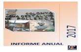 INFORME ANUAL - colonya.com · Informe Anual 2017 La caixa d'estalvis que tinc l'honor de presidir, Colonya Caixa d'Estalvis de Pollença, com totes les caixes d'estalvis, té una