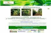 Capítulo TOMATE - INVERNADEROS · TOMATE - INVERNADEROS Estudio ... Cada tonelada de Tomate en COLOMBIA se cosecha empleando en promedio 36m3 de AGUA, ESTADOS UNIDOS, COSTA RICA