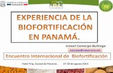 Presentación de PowerPoint - lac.harvestplus.orglac.harvestplus.org/wp-content/uploads/2015/02/Exp-Panama_Sem... · CNB, Chiriquí, Veraguas y Herrera. (IDIAP-Poroto) 350 agricultores