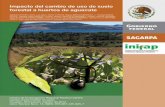 SECRETARÍA DE AGRICULTURA, GANADERÍA, …inifapcirpac.gob.mx/publicaciones_nuevas/Impacto del cambio de uso... · 2000 y 2010 la superficie cultivada de aguacate en el país aumentó