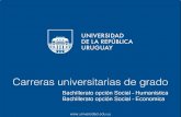 Bachillerato opción Social-Humanística Bachillerato …liceo6.weebly.com/uploads/7/1/5/4/7154339/carreras_de_grado_que_se... · Colaborar en la determinación y puesta en práctica