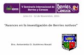 “Avances en la investigación de Berries nativos” · Sauco Desarrollo Sostenible de cultivos nativos del Perú ... Cultivo introducido. Ciertas variedades han demostrado buena