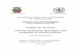 Escuela de Enfermería de Palencia “Dr. Dacio Crespo” …uvadoc.uva.es/bitstream/10324/24740/1/TFG-L1564.pdf · A partir de la constatación de que un 25% de los hospitalizaciones