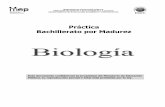 Práctica Bachillerato por Madurez · Biología / Bachillerato por Madurez Suficiente 3 SELECCIÓN ÚNICA 70 ÍTEMS