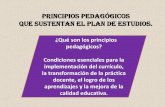 PRINCIPIOS PEDAGÓGICOS QUE SUSTENTAN EL …ipmp.gob.mx/Documentos/ATP´s/PPT. Principios-pedagógicos. 30... · implementación del currículo, la transformación de la práctica