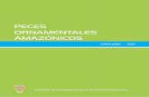 PECES ORNAMENTALES AMAZÓNICOSrepositorio.iiap.org.pe/bitstream/IIAP/138/1/sanchez_libros_2011.pdf · listas y estadísticas pesqueras de las especies denotan conjunción en la identiicación