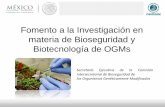 Fomento a la Investigación en materia de Bioseguridad y ...€¦ · virulencia hacia el gusano falso medidor de la ... Frijol (Phaseolus vulgaris L.) cv. Flor ... genéticamente