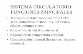 SISTEMA CIRCULATORIO: FUNCIONES PRINCIPALEScronos.unq.edu.ar/fisgen/Sistema Cardiovascular 2014.pdf · SISTEMA CIRCULATORIO: FUNCIONES PRINCIPALES •Transporte y distribución de