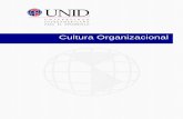 Cultura Organizacional - moodle2.unid.edu.mxmoodle2.unid.edu.mx/dts_cursos_mdl/pos/E/CO/S02/CO02_Lectura.pdf · Cultura Organizacional. CULTURA ORGANIZACIONAL 1 Sesión No. 2 Nombre: