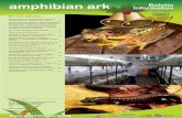 AArk Boletin Informativo amphibian ark Informativo … · Proyecto de cría y reintroducción del Sapo ... grandes cantidades de renacuajos en un ambiente acuático ... Tienen un
