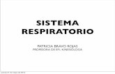 SISTEMA RESPIRATORIO - academico.upv.clacademico.upv.cl/doctos/PEEF-4192/{18D6260D-6D1D-44D5-B67C... · patricia bravo rojas profesora de efi- kinesiologa sistema respiratorio jueves