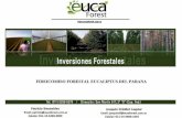 5. Leyes de Promoción Forestal. · Actualmente la empresa administra más de 1000 has de forestación de Eucaliptus Grandis ... Primavera del 2016. ... a las Ganancias al incremento
