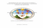 UNIVERSIDAD DE SAN CARLOS DE GUATEMALA … Lic Zoot Pahola Morales.pdf · FACULTAD DE MEDICINA VETERINARIA Y ZOOTECNIA UNIVERSIDAD DE SAN CARLOS DE GUATEMALA DECANO: M.V. Leonidas