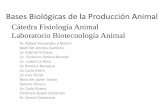 Bases Biológicas de la Producción Animal 2010/Clase 2 tejidos... · con el esqueleto. Es voluntario Músculo cardiaco Es un músculo estriado especializado que rodea el corazón