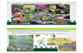 T7 Los ecosistemas y la biodiversidad · 17:50 Ecosistema = biocenosis + biotopo + relaciones entre todos los elementos Biocenosis Seres vivos del ecosistema Individuos de una misma