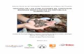 ESTUDIO DE LAS POBLACIONES DE TORTUGAS MARINAS ... · MARZO 2010 . 2 Estudio de las poblaciones de tortugas marinas nidificantes en República Dominicana. ... 2997), estas cifras