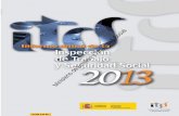 INFORME ANUAL DE LA INSPECCION DE TRABAJO Y … · 2018-08-02 · INFORME ANUAL 2013 DE LA INSPECCION DE TRABAJO Y SEGURIDAD SOCIAL. ... y la correspondiente al Plan Integrado de