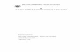 BOLSA DE CORREDORES - Bovalpo.com · los impuestos diferidos por cambios de tasa, establecidos en el Oficio Circular N°856 de ... revalorizados a la fecha de transición según IFRS