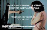 Formación para el uso seguro y responsable de internet en ... · USO SEGURO Y RESPONSABLE DE INTERNET EN CENTROS DE EDUCACIÓN ESPECIAL PREVENCIÓN Y DETECCIÓN DE CIBERBULLYING